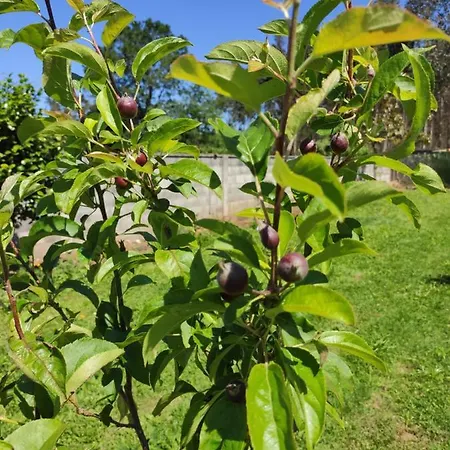A Santiaga En Costa Da Morte
