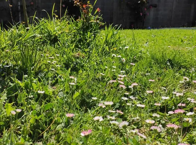 別荘 A Santiaga En Costa Da Morte *