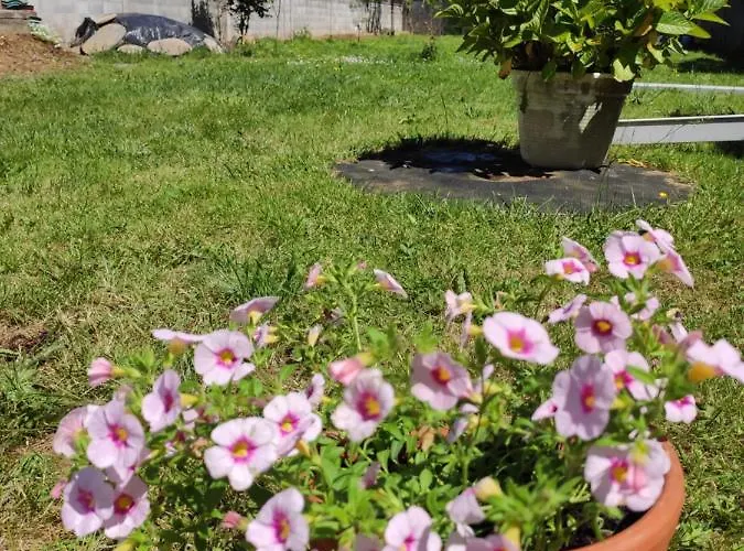 別荘 A Santiaga En Costa Da Morte